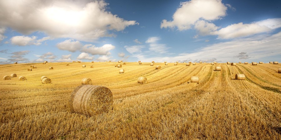 Pagina din categorie